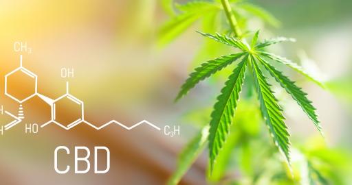 10 things you should know to really understand CBD - Humboldt Seeds