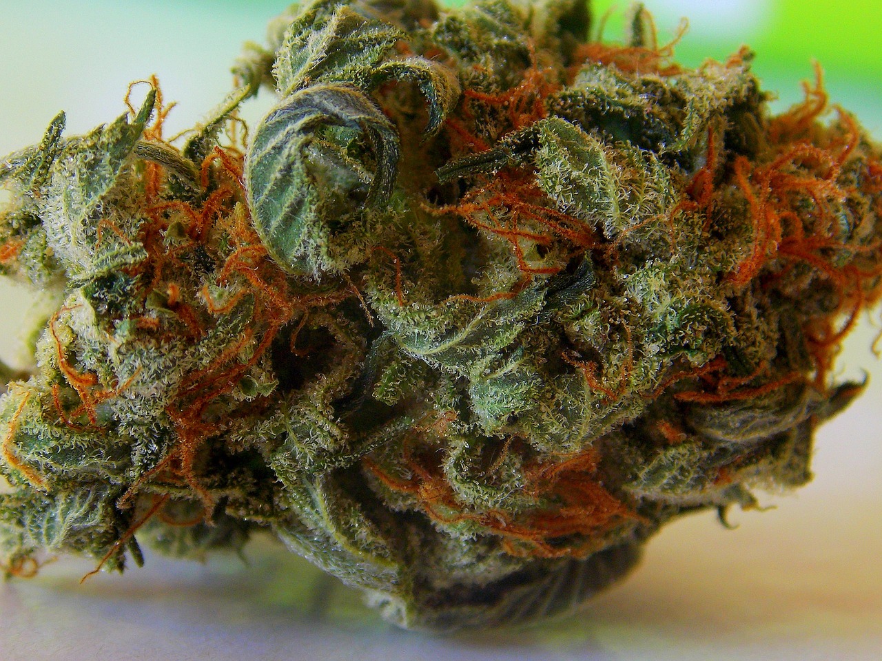 Descarboxilación del cannabis: qué es y cómo se hace- Alchimia Grow Shop