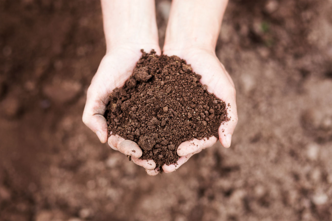 Soil Microbiology And Organic Farming - Humboldt Seeds UK